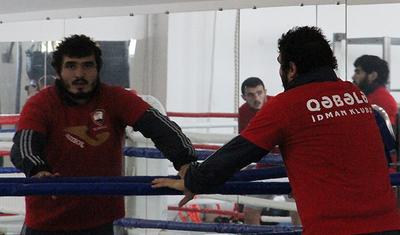 "Qəbələ" Ukraynada: öncə basketbol, sonra boks - LENT