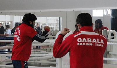 "Qəbələ" Ukraynada: öncə basketbol, sonra boks - LENT