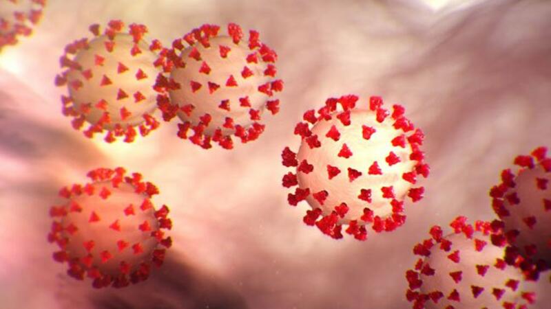Azərbaycanda koronavirus yoluxanların ən son sayı açıqlandı