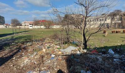 Azərbaycanda stadionu qoyun-quzunun "ixtiyarına verdilər" -