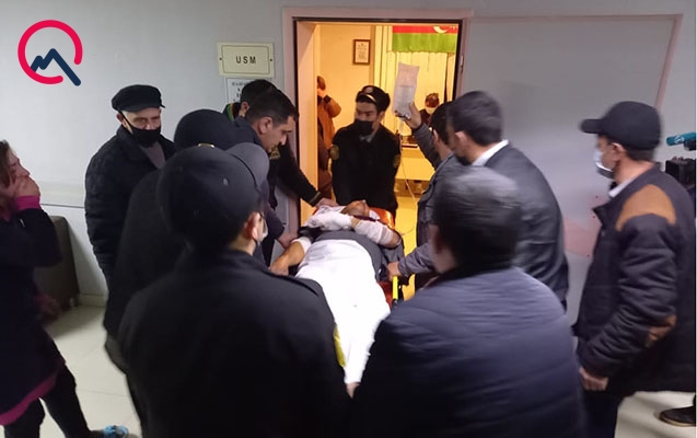 Tərtərdə mal-qara otaran zaman minaya düşdü - FOTO