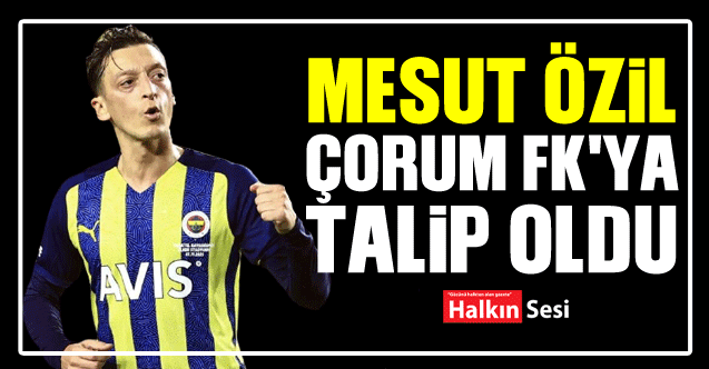 Məşhur türk futbolçu bu klubu satın alır - Cəmi 20 milyona