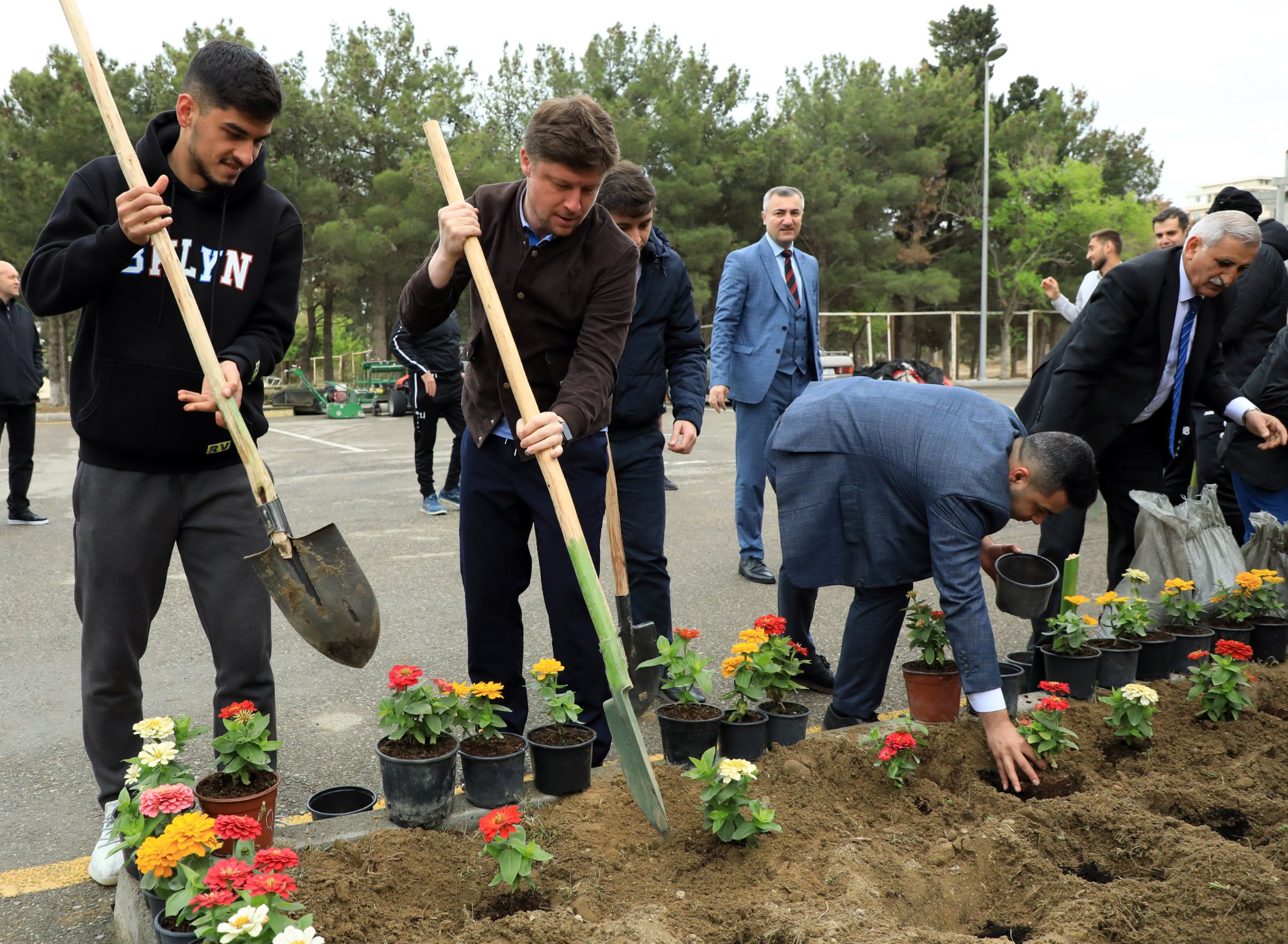 Utanmasan, danışmağa nə var ki…