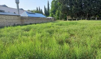 Şəhidin adı verilən, heç kimin yaxın durmadığı sahibsiz stadion -