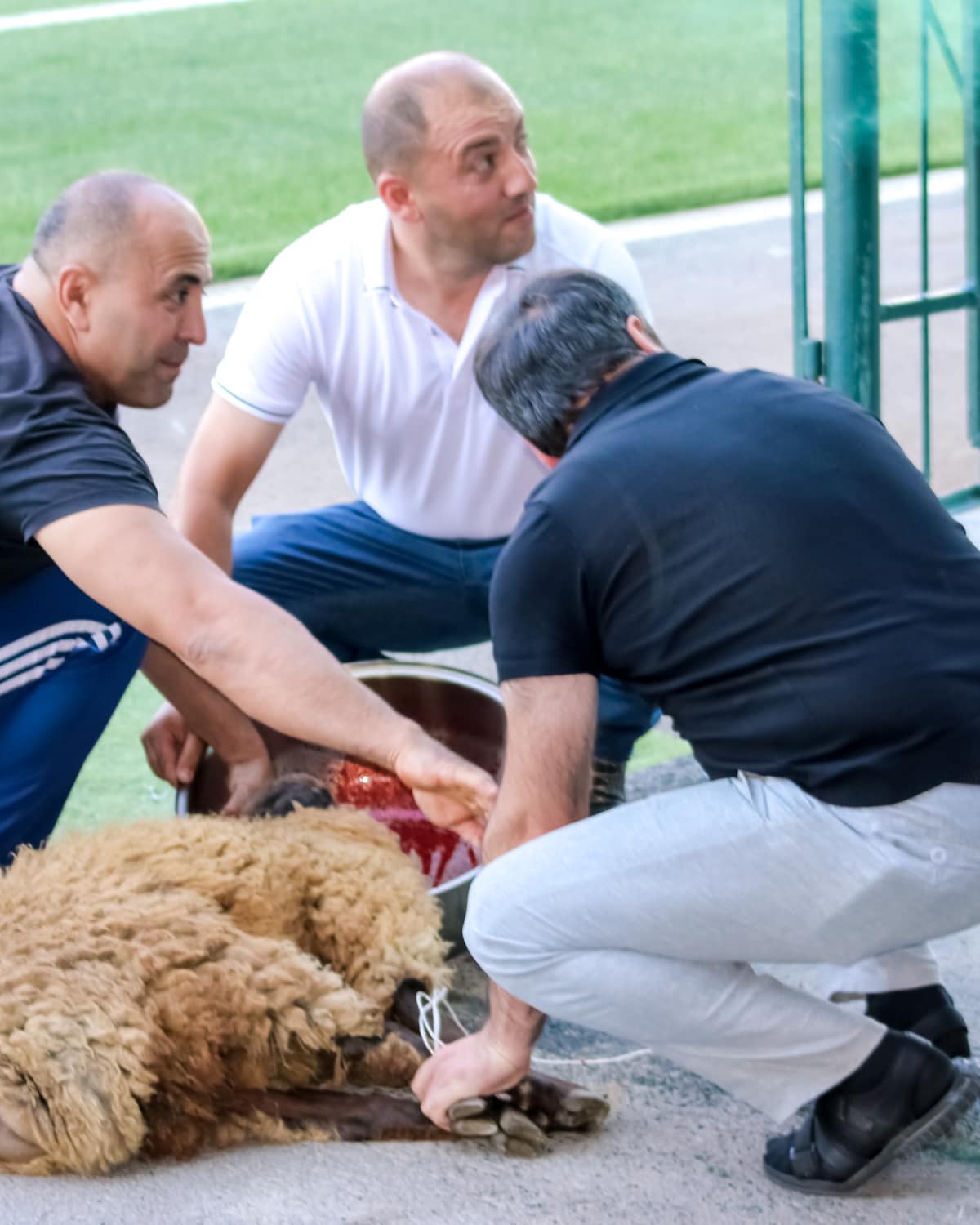 Klub Premyer Liqaya qayıtdı, qurban kəsildi - RAYONDAN FOTOREPORTAJ