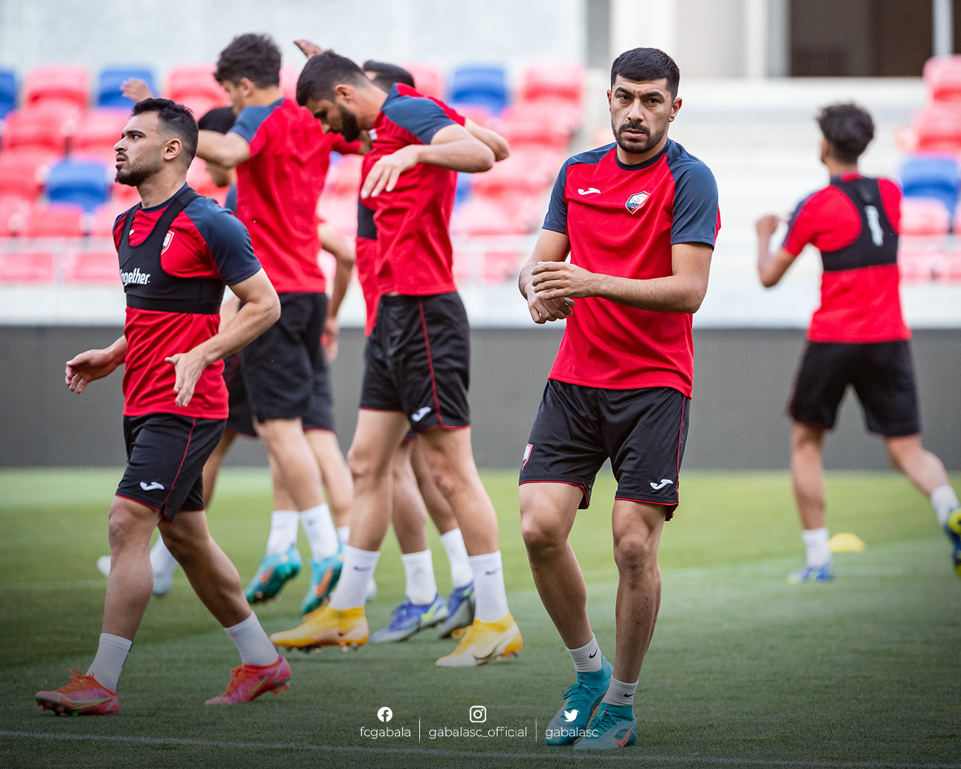 мол фехервар