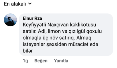 19 transfer edən kluba ünvanlanan sual: “Bunları yer bellətməyə gətirmisiz?”
