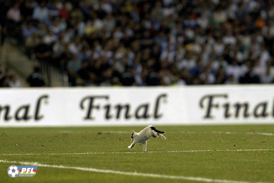“Qarabağ”dan pulsuz bilet istəyən kimlərdir?