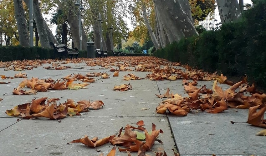 Temperatur aşağı enəcək, güclü külək əsəcək, yağıntılar intensivləşəcək - SABAHIN PROQNOZU