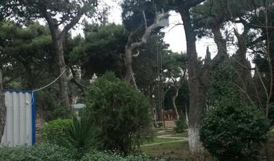 Məşhur "Neftçibaza"nı kim və niyə sökür? - FOTOREPORTAJ