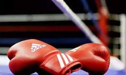 https://www.sportinfo.az/idman_xeberleri/boks/166475.html