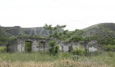 Ermənilərdən geri alınan Qubadlı rayonunun kəndindən