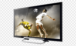 https://www.sportinfo.az/idman_xeberleri/azarkes/170587.html