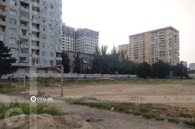 Bakının mərkəzində zay olan “Məhsul”: Ona sahib çıxan yoxdur? - FOTOREPORTAJ