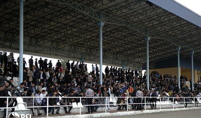 Çoxlu qol, əməlli-başlı insident, 3 "qırmızı", meydana girən it -