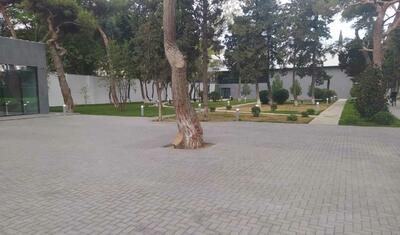 "Neftçi"nin köhnə məkanından yeni