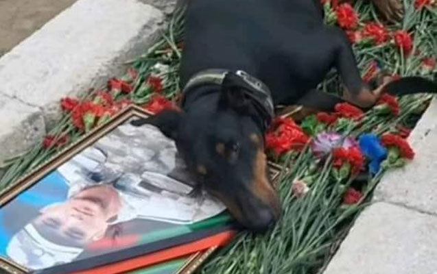 "Yuxuda məbə dedi ki, iti gətir, onunla sağollaşmalıyam” - VİDEO