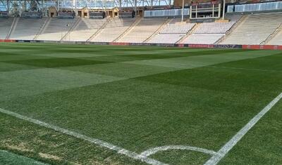 “Qarabağ” – “Bayer” matçını qəbul edəcək qazonun son halı -