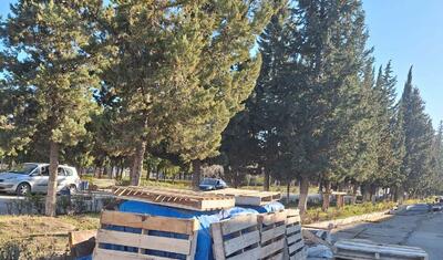 Tanınmış iş adamı komanda üçün yeni baza tikir -