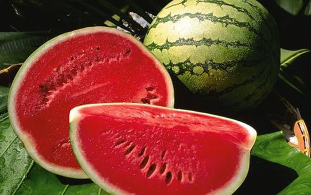 Bunu yesəniz, bir çox xəstəliklərdən azad olacaqsız