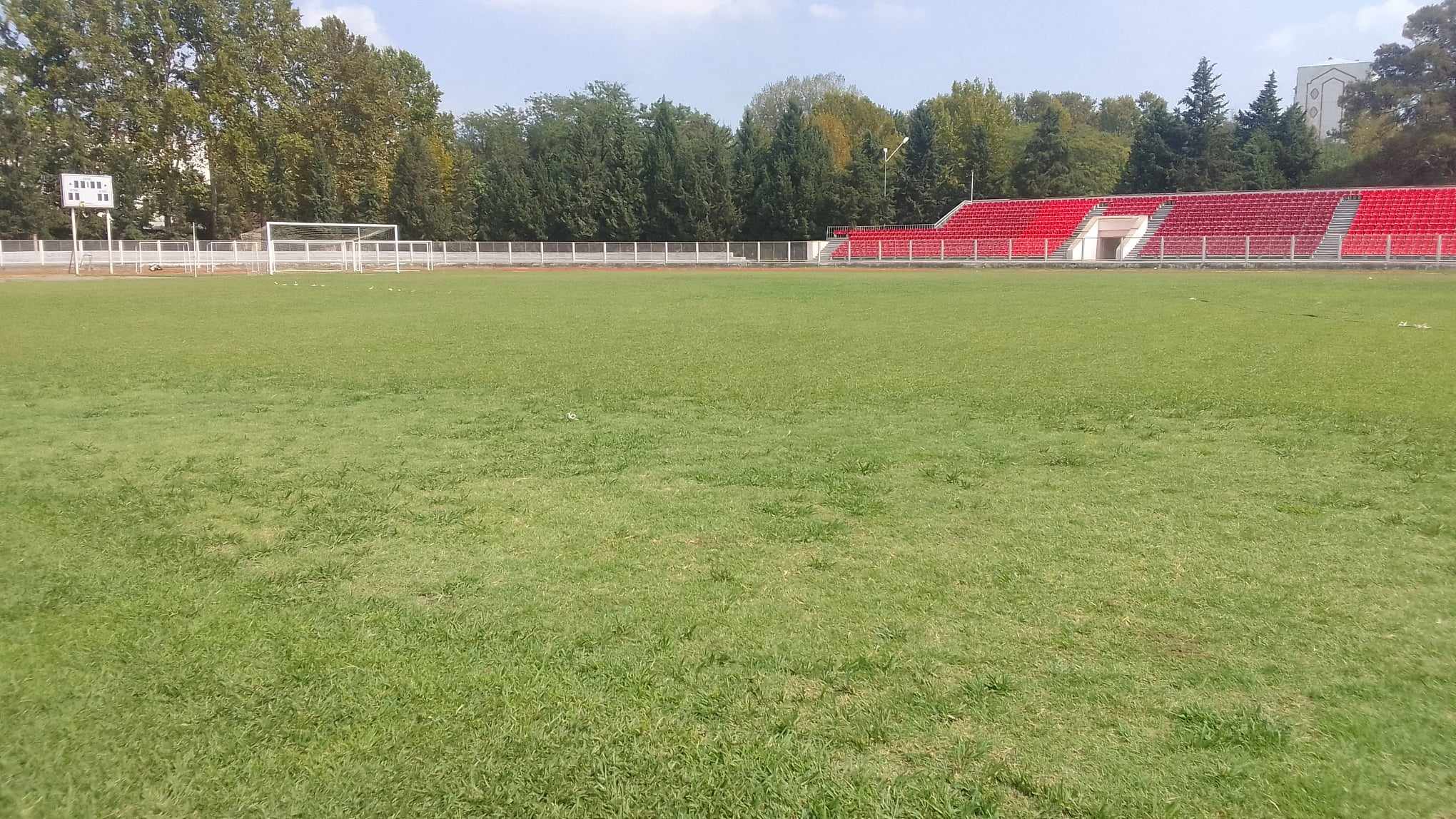 “Yeni baza yaratmaq, meydanları bərpa etməyi planlaşdırmışıq”