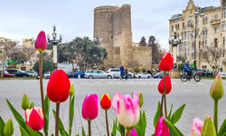 https://www.sportinfo.az/idman_xeberleri/arashdirma/216829.html