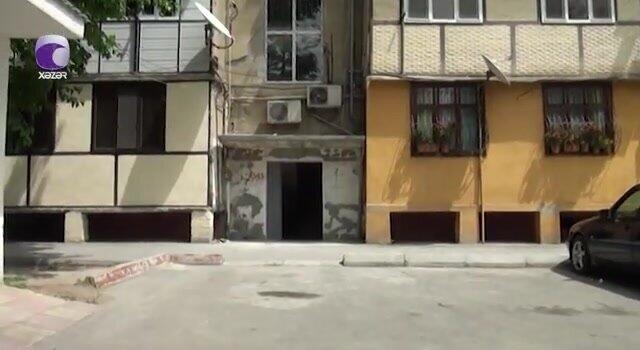 Azərbaycanda təhlükəli canlılar peyda oldu - VİDEO