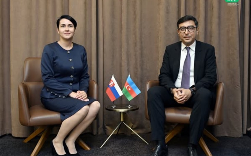 Azərbaycanlı nazir Slovakiyanın idman məsələləri üzrə dövlət katibi ilə nədən danışdı?