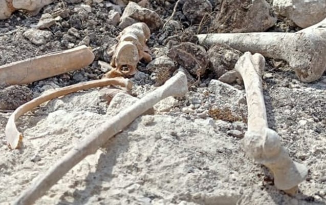 Ağdamda insan sümüklərinə oxşar skelet aşkarlandı