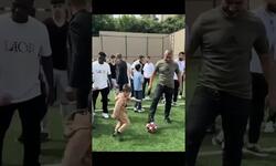https://www.sportinfo.az/idman_xeberleri/qarabag/224182.html