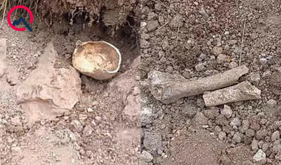 Laçında insan sümüklərinə bənzər skelet qalıqları tapıldı - FOTOLAR