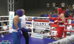 https://www.sportinfo.az/idman_xeberleri/boks/227278.html