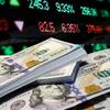 Dollar bu halda bahalaşacaq – Xəbərdarlıq etdi