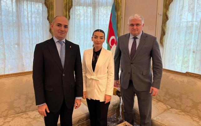 AFFA rəhbərliyi Parisdə Azərbaycan səfiri ilə - FOTOLAR