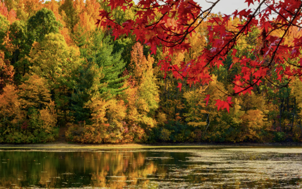 Oktyabrın 31-də gözlənilən hava şəraiti açıqlandı- PROQNOZ