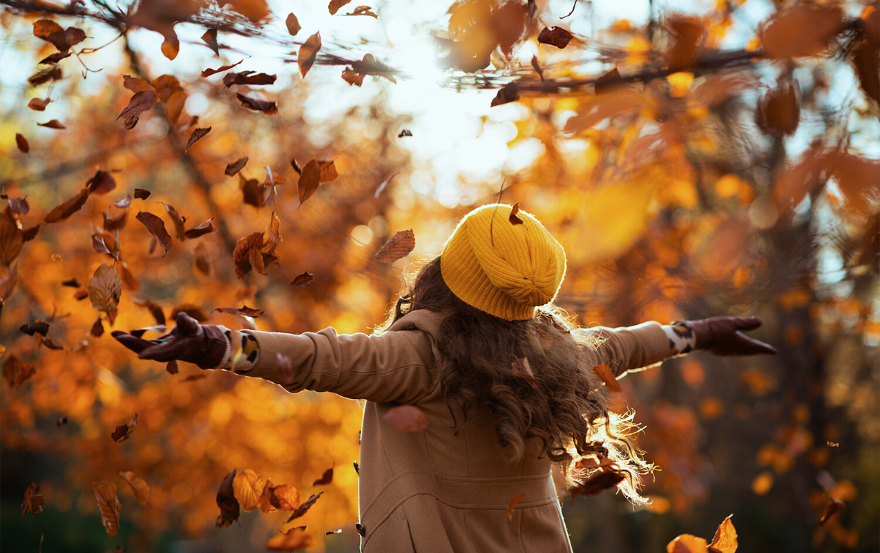 Noyabrın 7-də gözlənilən hava şəraiti açıqlandı - PROQNOZ