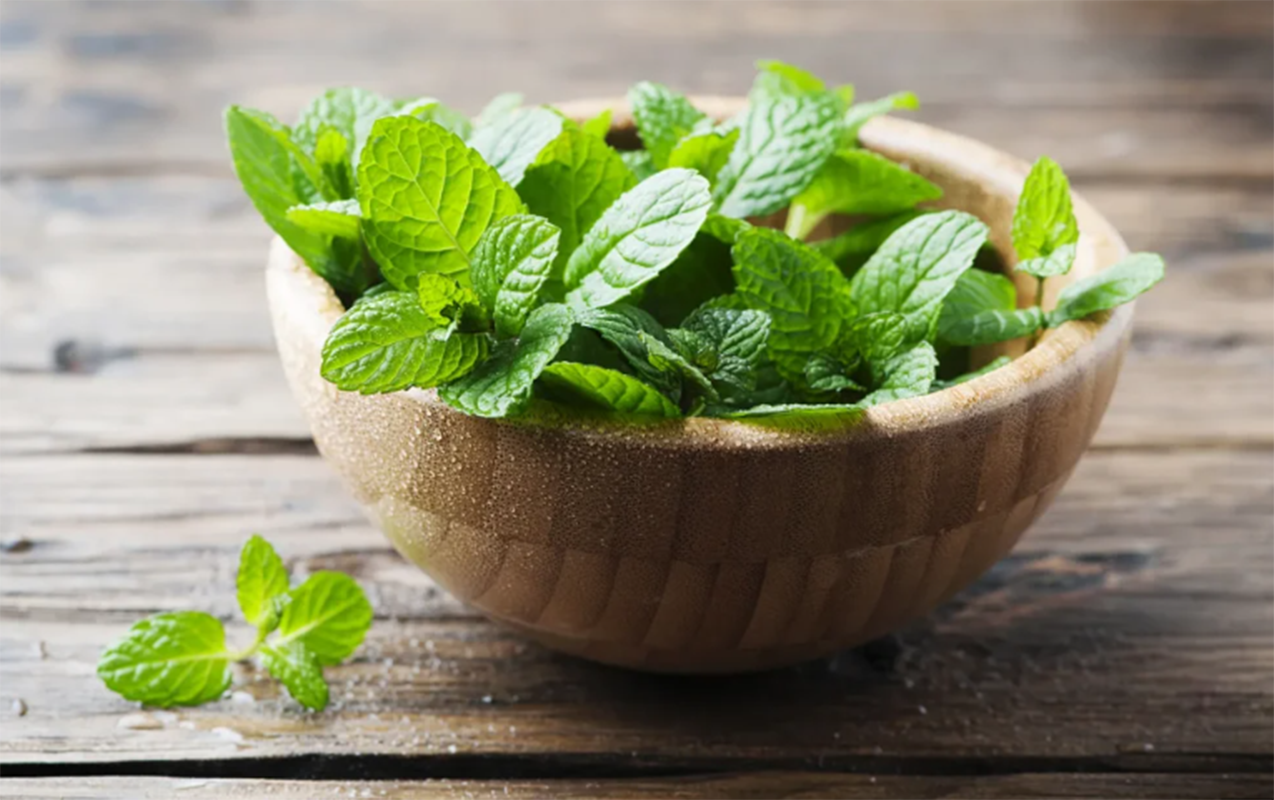 Əsəbləri sakitləşdirir və bədənə rahatlıq verir - Faydalarını bilin