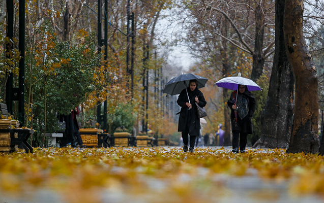 Noyabrın 18-də gözlənilən hava şəraiti - Yağış yağacaq