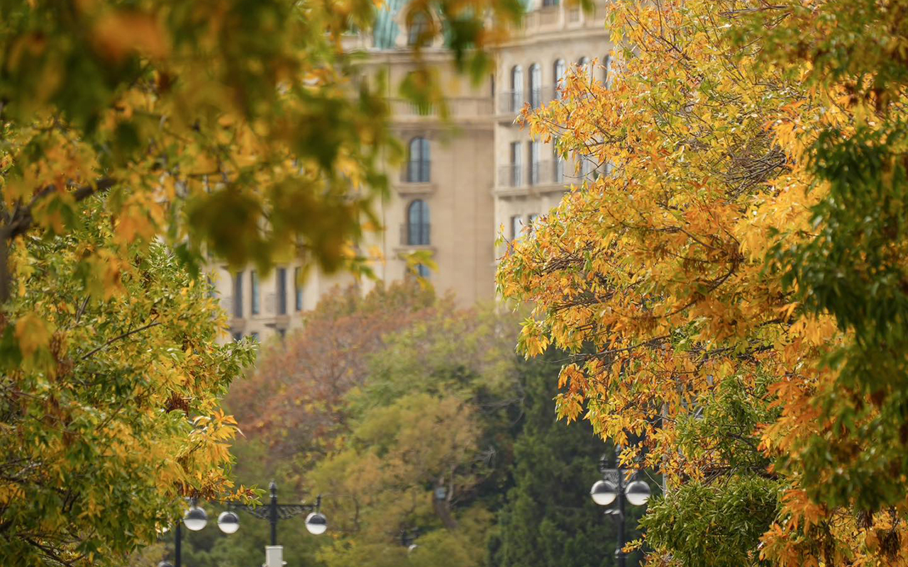 Noyabrın 19-da gözlənilən hava şəraiti açıqlandı - PROQNOZ