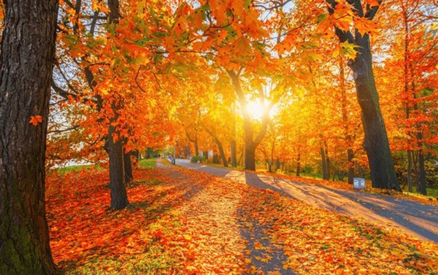 Noyabrın 22-də gözlənilən hava şəraiti açıqlandı - PROQNOZ