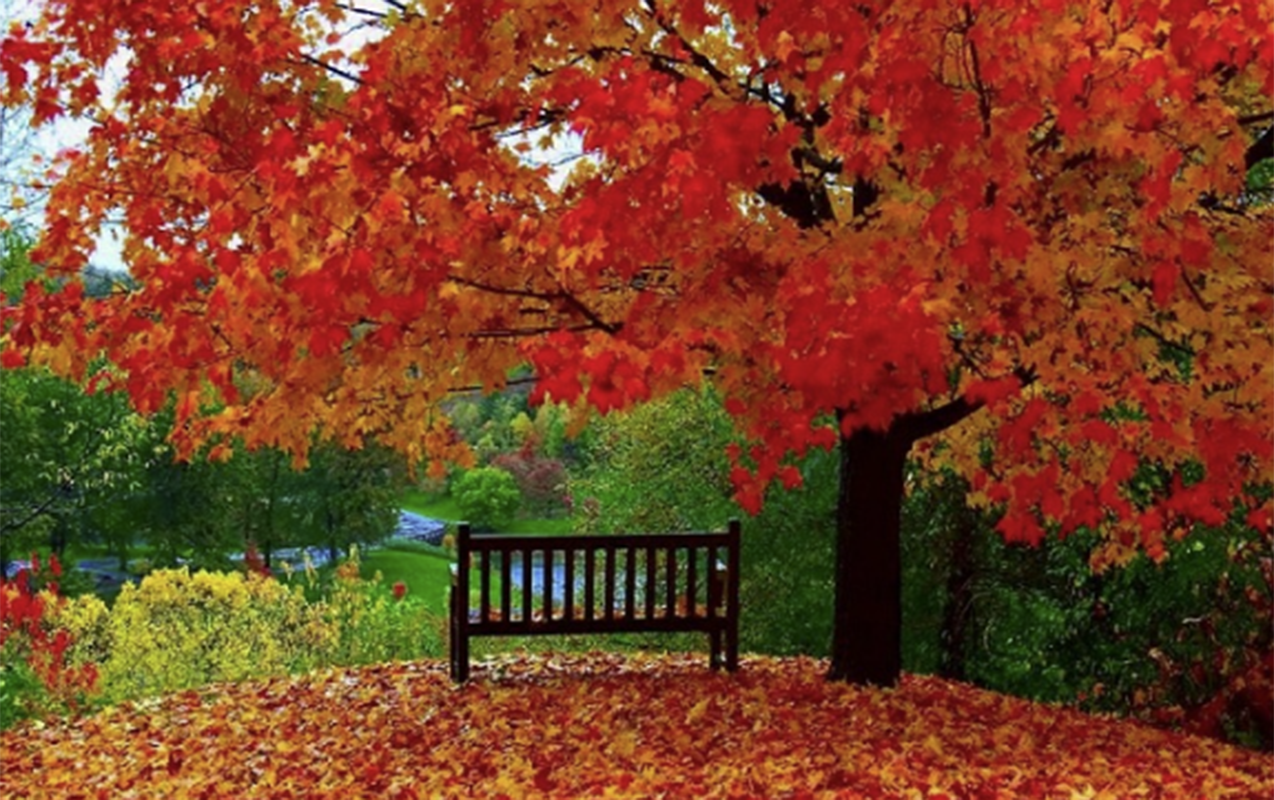 Noyabrın 26-da gözlənilən hava şəraiti açıqlandı - PROQNOZ