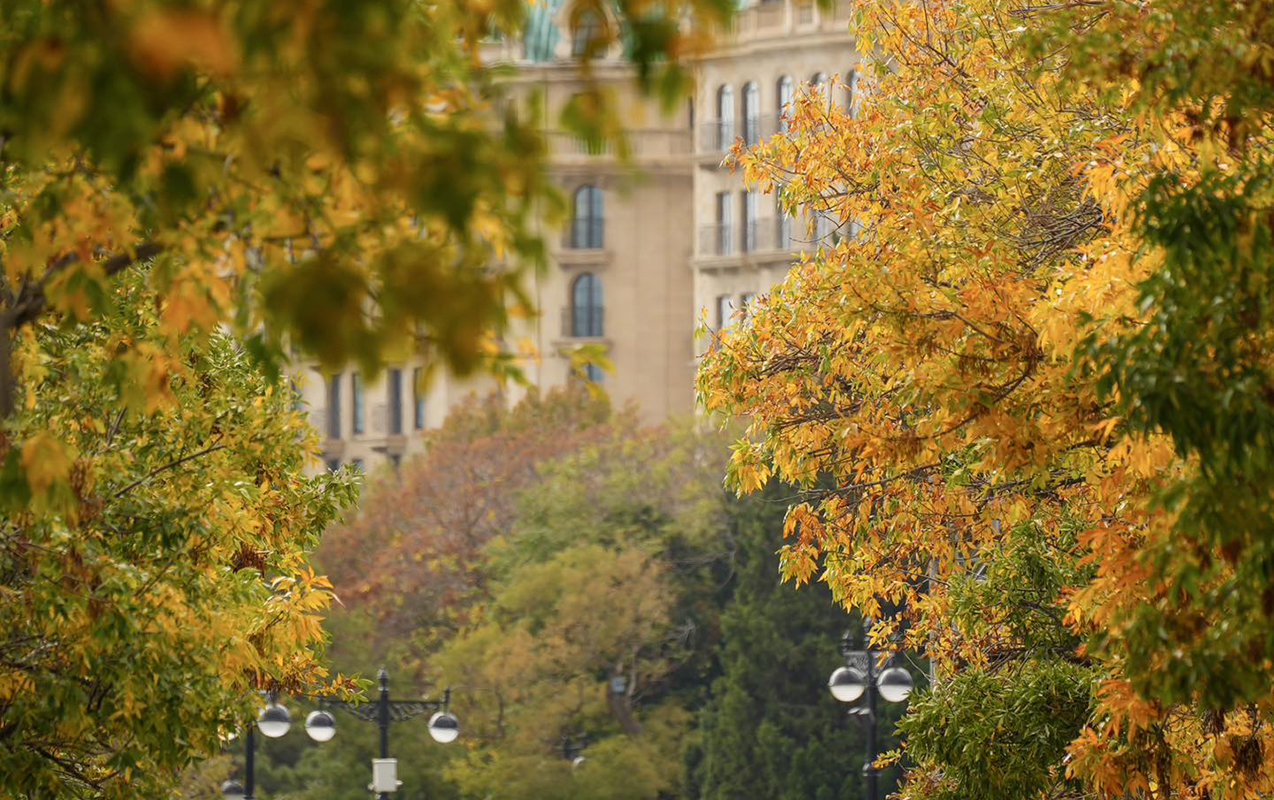 Bu gün gözlənilən hava şəraiti açıqlandı - 17° isti olacaq
