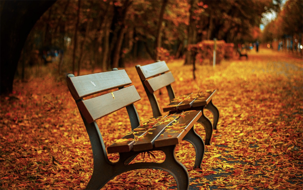 Noyabrın 28-də gözlənilən hava şəraiti açıqlandı - PROQNOZ