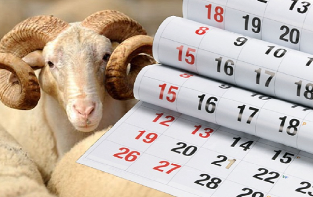 Ölkəmizdə bununla bağlı qanunvericiliyə dəyişiklik olunur