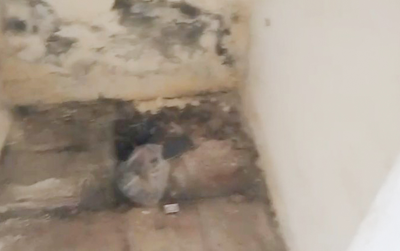 Azərbaycanda bu stadiona gələn tualet tapmır - VİDEO