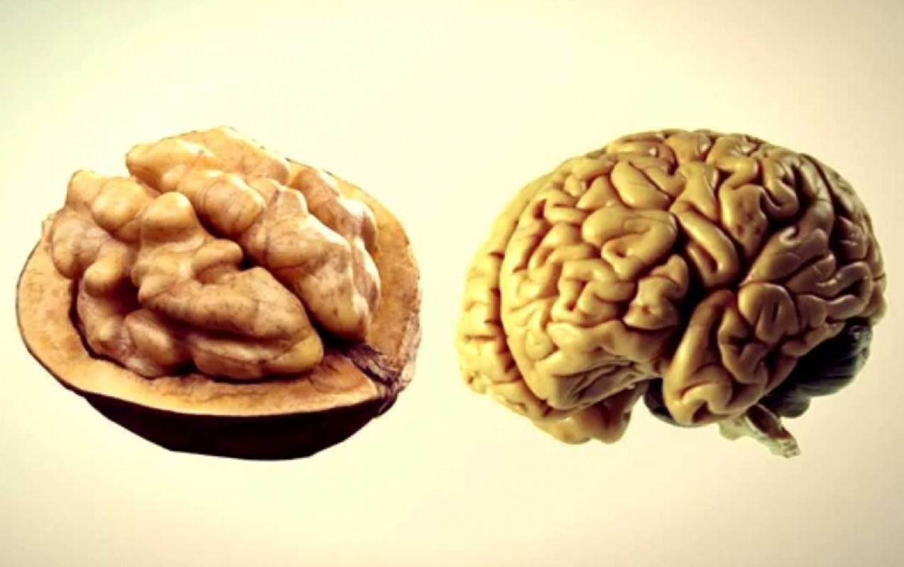 Ürək infarktı riskini azaldır - Bu qidalar orqanlarımızın “əkizi”dir