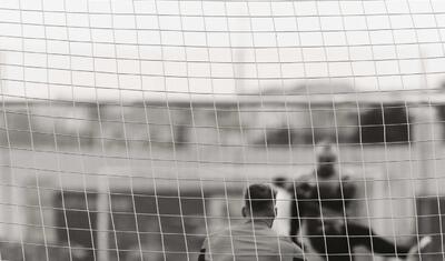 “Neftçi”yə gələn Avropanın tanınmış komandasının futbolçuları, görün, neylədi! -