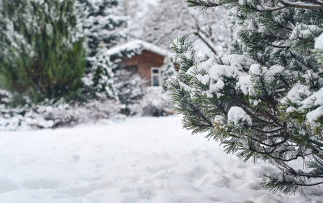 Qar yağacaq, yollar buz bağlayacaq - Xəbərdarlıq edildi