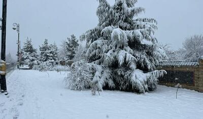 TƏCİLİ! “Sportinfo”nun əməkdaşı “hadisə yerində” -