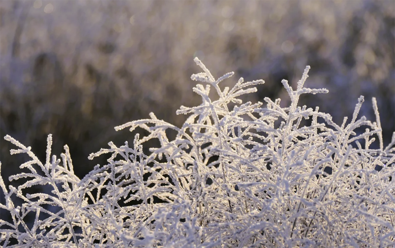 Martın 3-də gözlənilən hava şəraiti açıqlandı - 15° şaxta olacaq